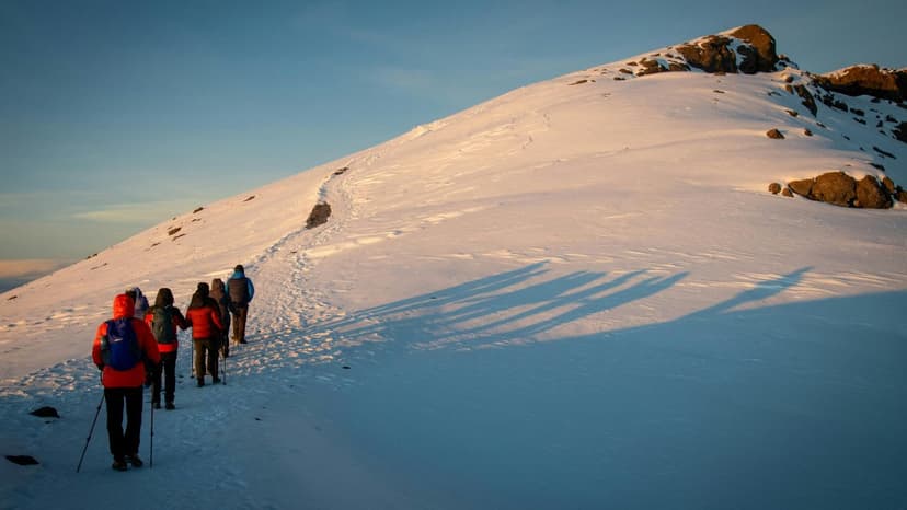 Bhutan Unplugged Tour β A Perfect Escape to the Hills & Nature - 2