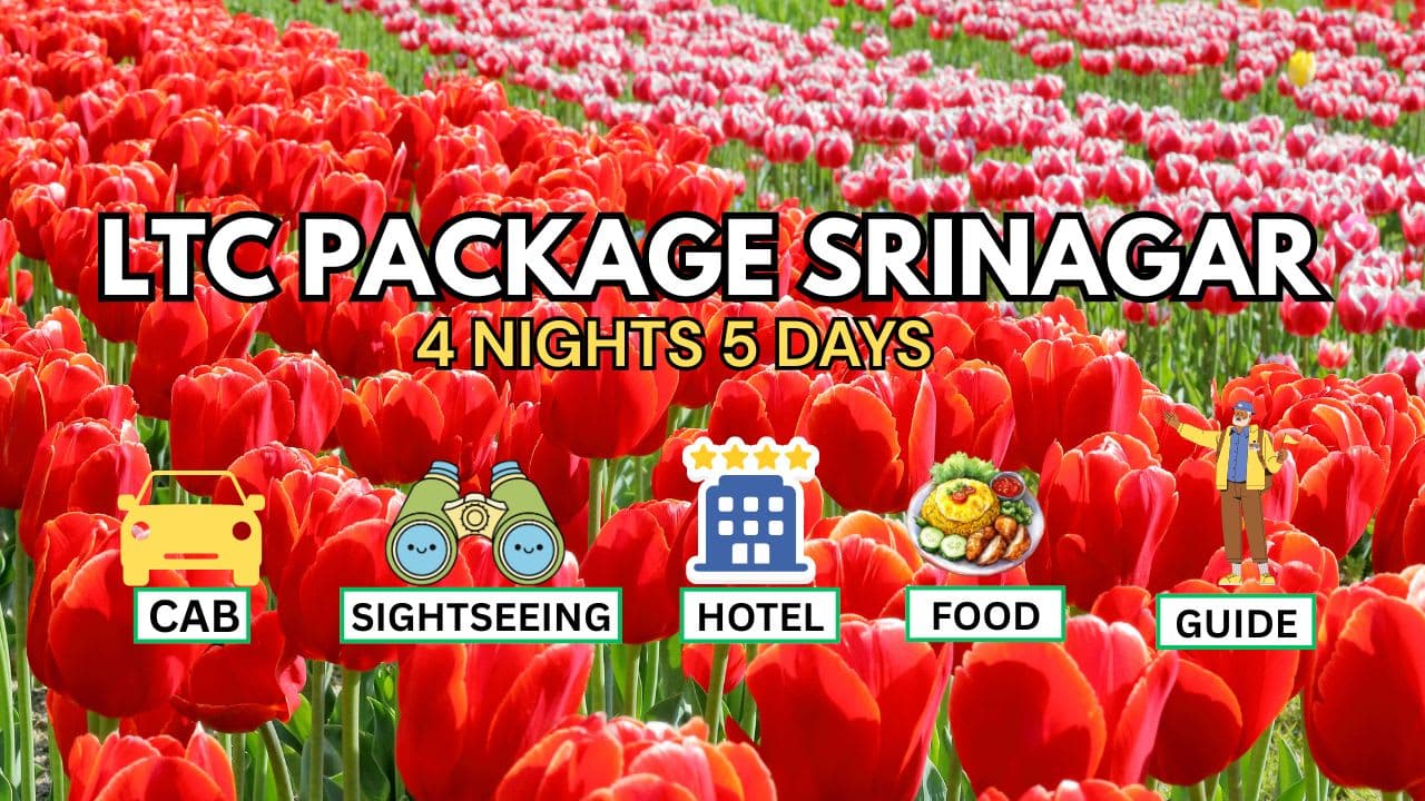 LTC Package Srinagar – Best Kashmir Holiday Tour